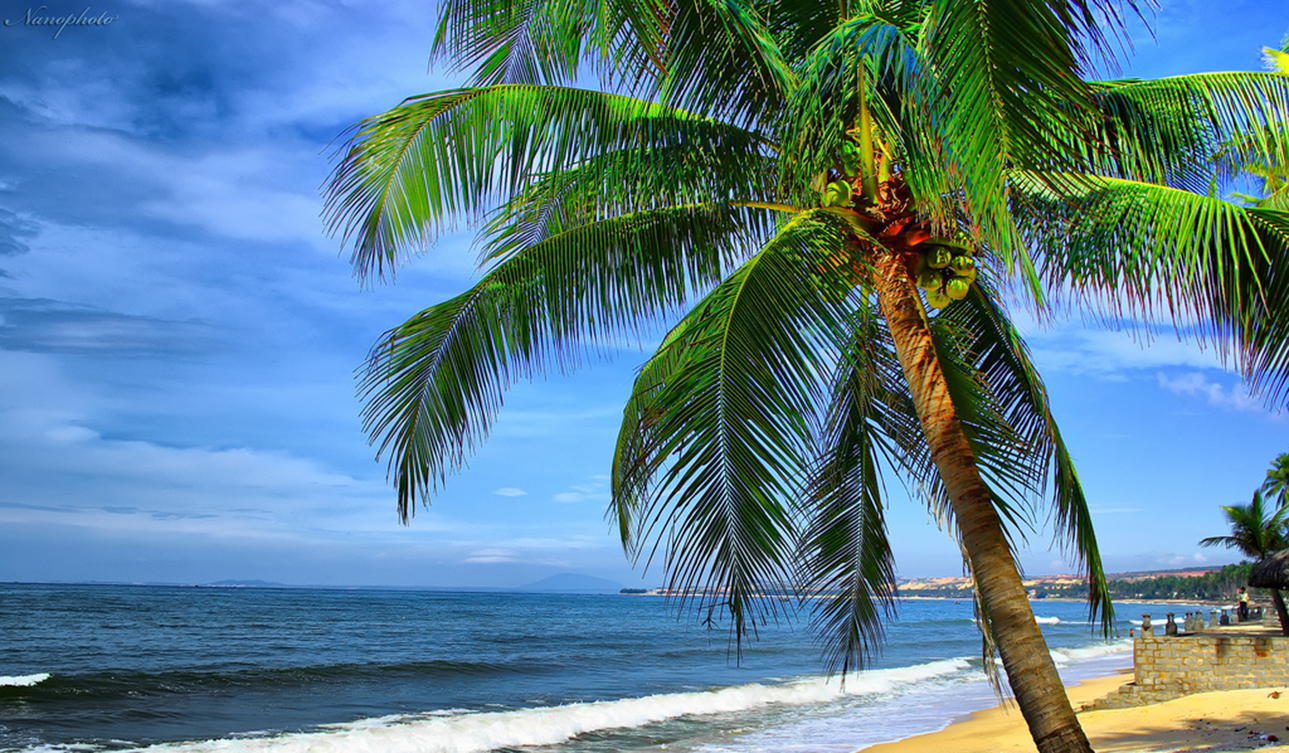 Nha Trang
