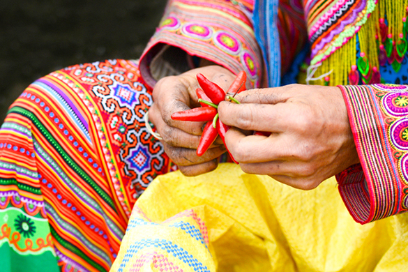 DELIGHTS OF NORTH VIETNAM