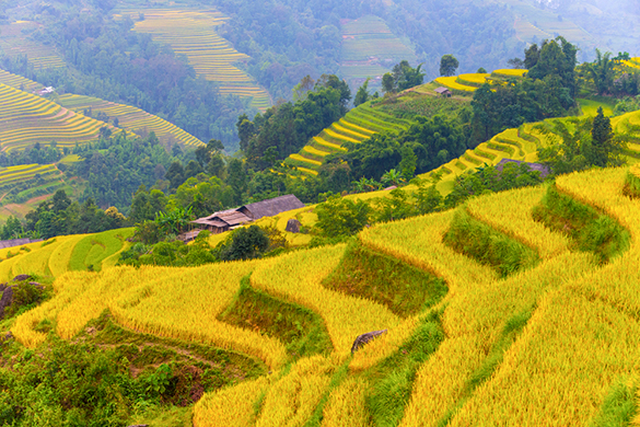HANOI - SAPA - BAC HA