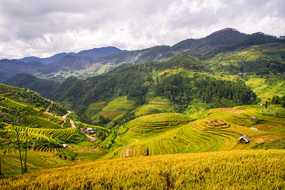 MAI CHAU - HANG KIA