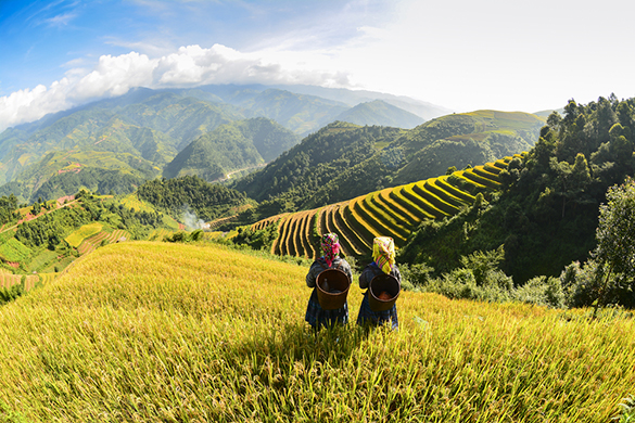 SAPA TREKKING TOUR