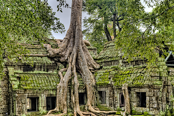 STROLLING IN THE TEMPLES OF ANGKOR PARK